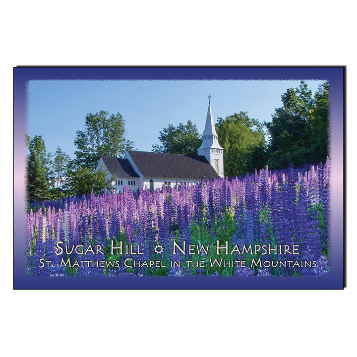 #9026 Carte postale de l'église Lupine pour la vente par White Mountain Images