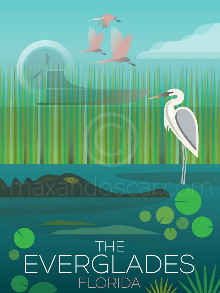 IMPRIMÉ EVERGLADES pour la vente par Max & Oscar