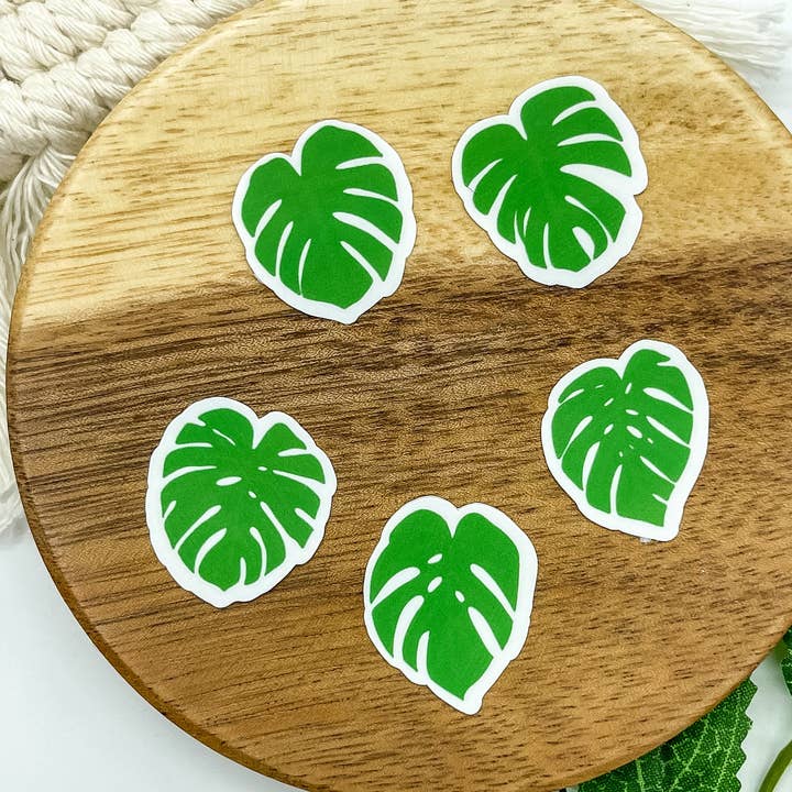 Monstera Mini Sticker Pack for wholesale by BambooByTundra