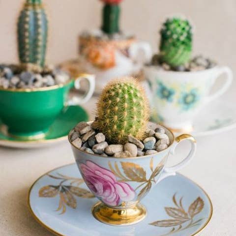 The Delicate Dish - Wholesale Coffee/Tea Cup - Vintage Assorted Teacups & Saucers - Mismatched China