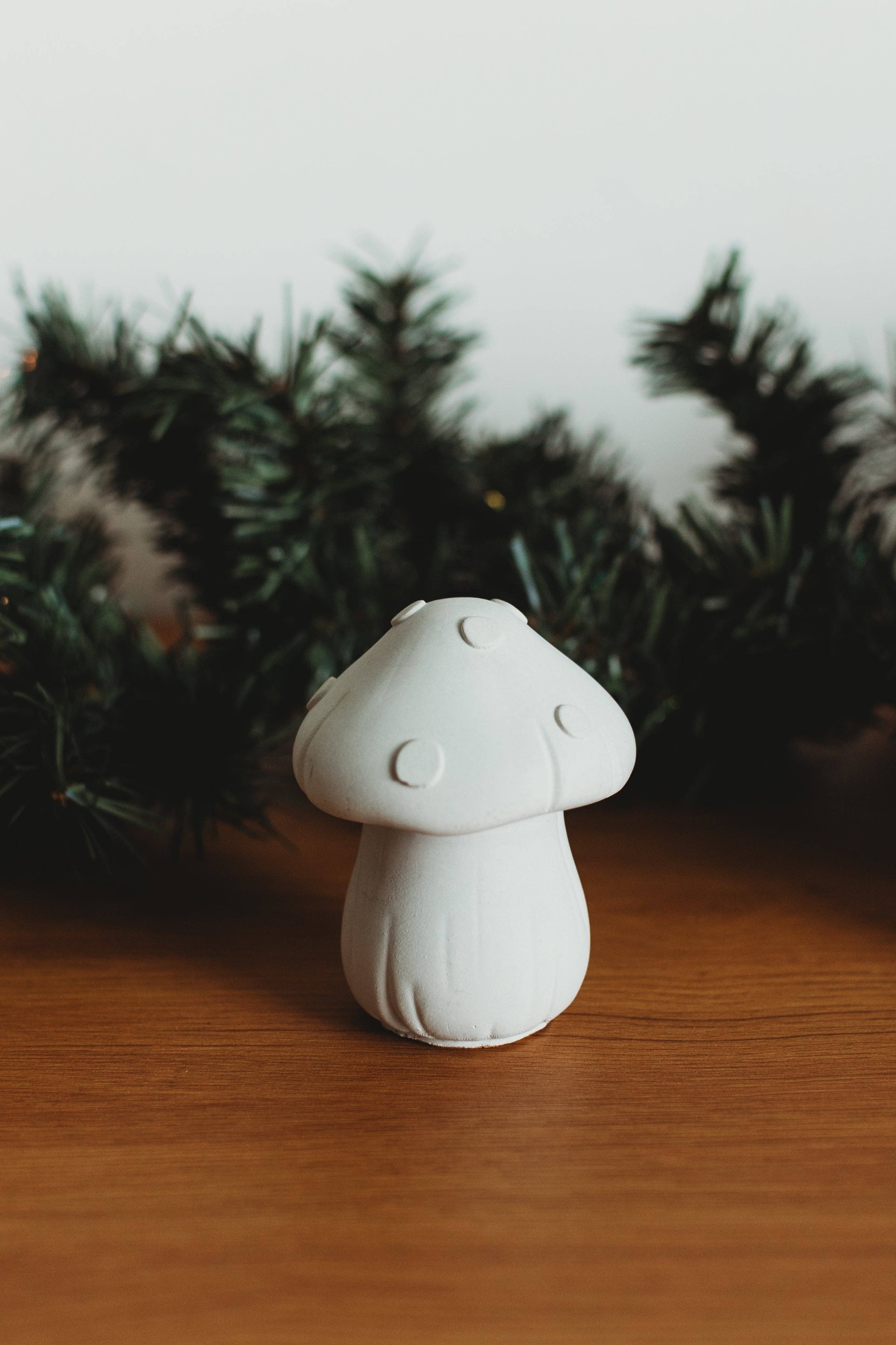 The Market Made - Wholesale DIY Craft Kit - Paint Your Own Mushroom Kit | Paint Your Own Decor Activity Set | Paint Your Own Handmade Concrete Gift Set1