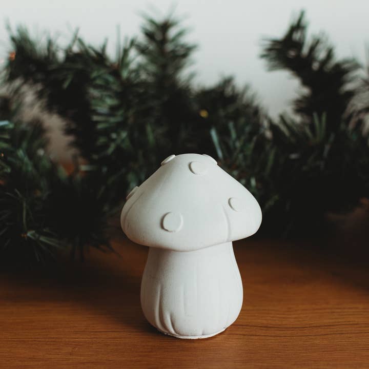 The Market Made - Wholesale DIY Craft Kit - Paint Your Own Mushroom Kit | Paint Your Own Decor Activity Set | Paint Your Own Handmade Concrete Gift Set1