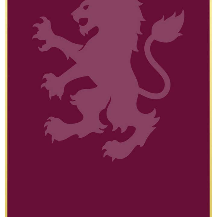 Tarjeta de Estadísticas Personalizadas de Aston Villa 24 para venta al por mayor de Themed