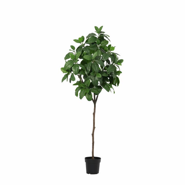 Magnolia planta artificial 190cm – Gran árbol de magnolia decorativo – Planta de interior sin mantenimiento para sala de estar, oficina y área de recepción. para venta al por mayor de Oasis of Life