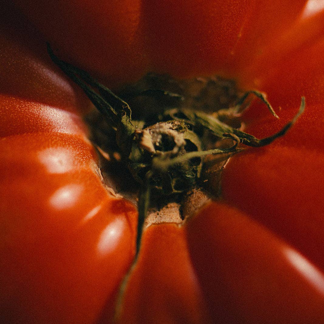 Nose Dive - Wholesale Jar/Filled Candle - Cowboy5