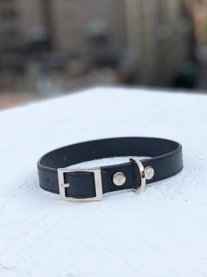 Collier anti-poils pour animaux de compagnie The Taylor en toile végétalienne pour la vente par Shaya Pets