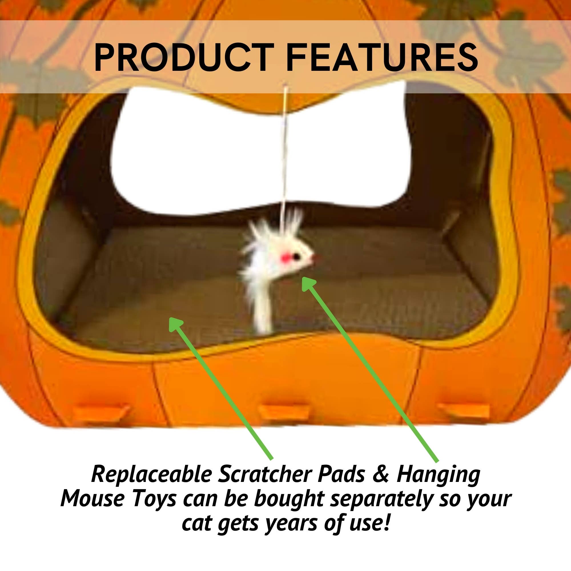 Midlee Designs – wholesale Kattkliare - Katt – Midlee Halloween pumpa katt skrapare hus7