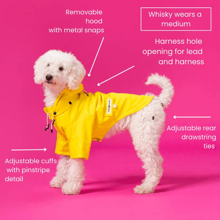The Paw Co - Wholesale Pet raincoat – Dog - Sloane Waterproof Dog Rain Jacket Lemon5