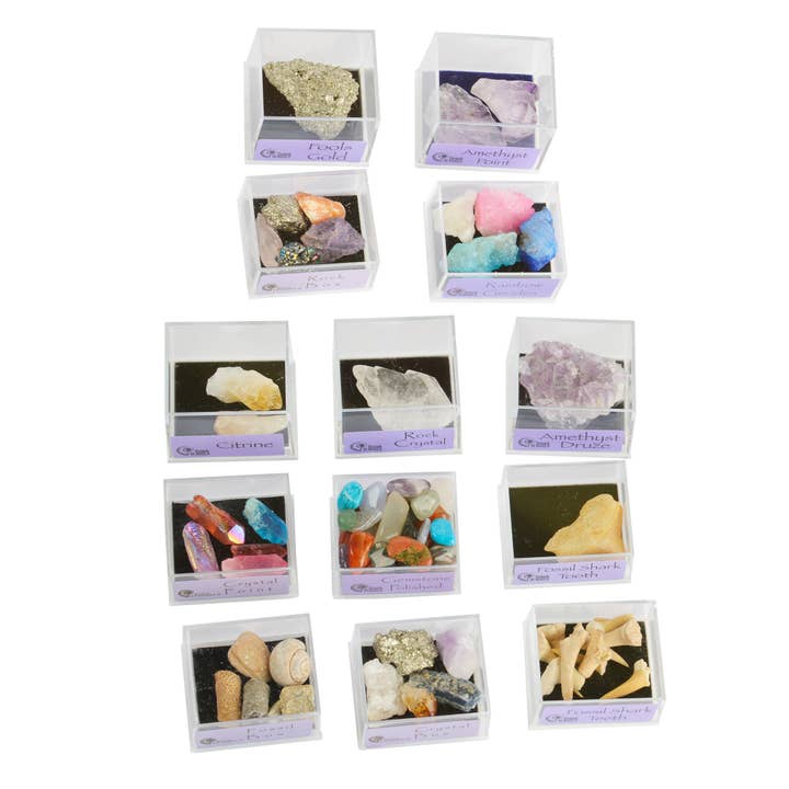 British Fossils – wholesale Retailer display – Child & baby – Small Box Pack1