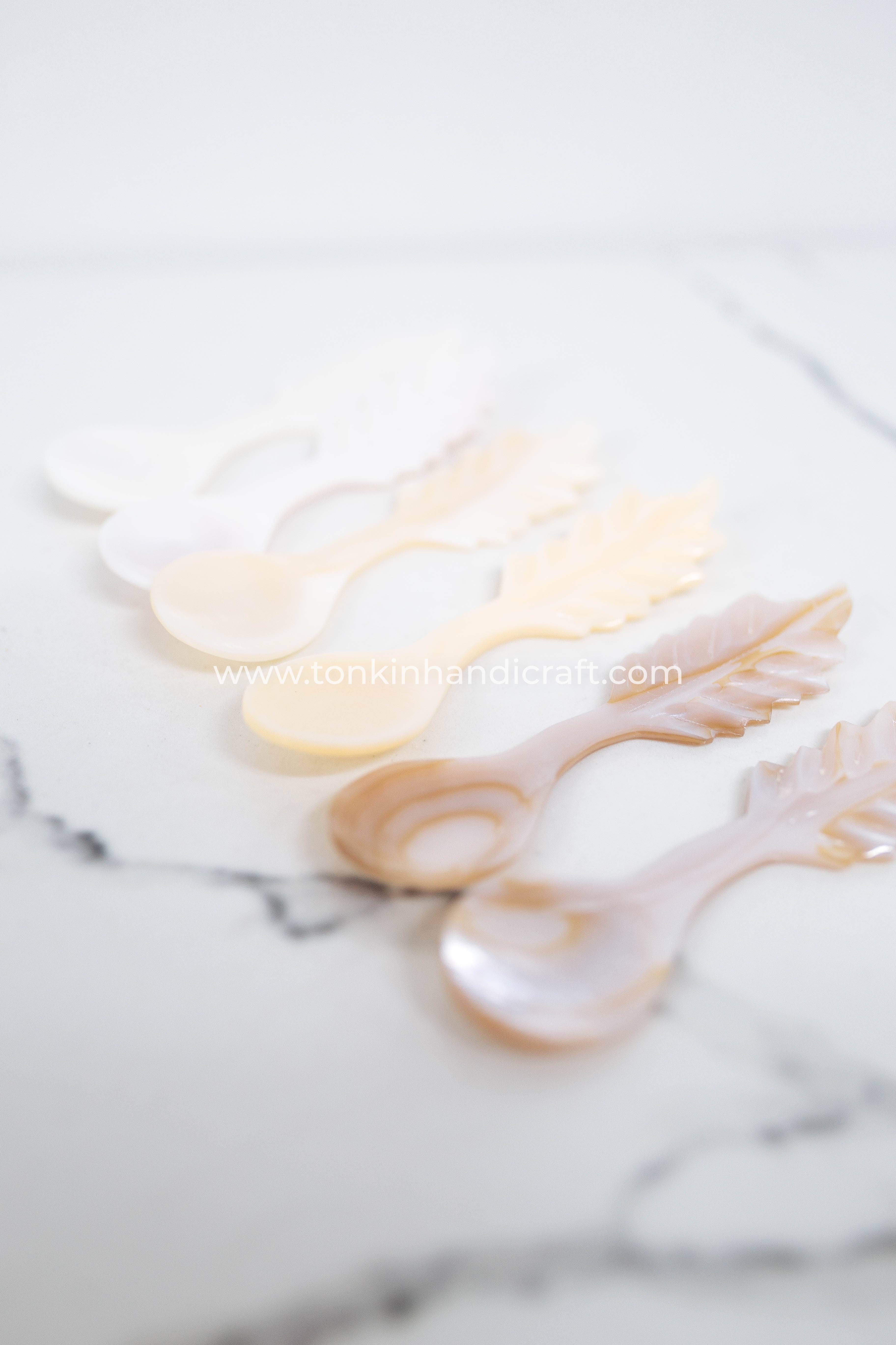 Tonkin Handicraft - Vendita all'ingrosso Cucchiai (posate) - Cucchiaio a foglia in madreperla8