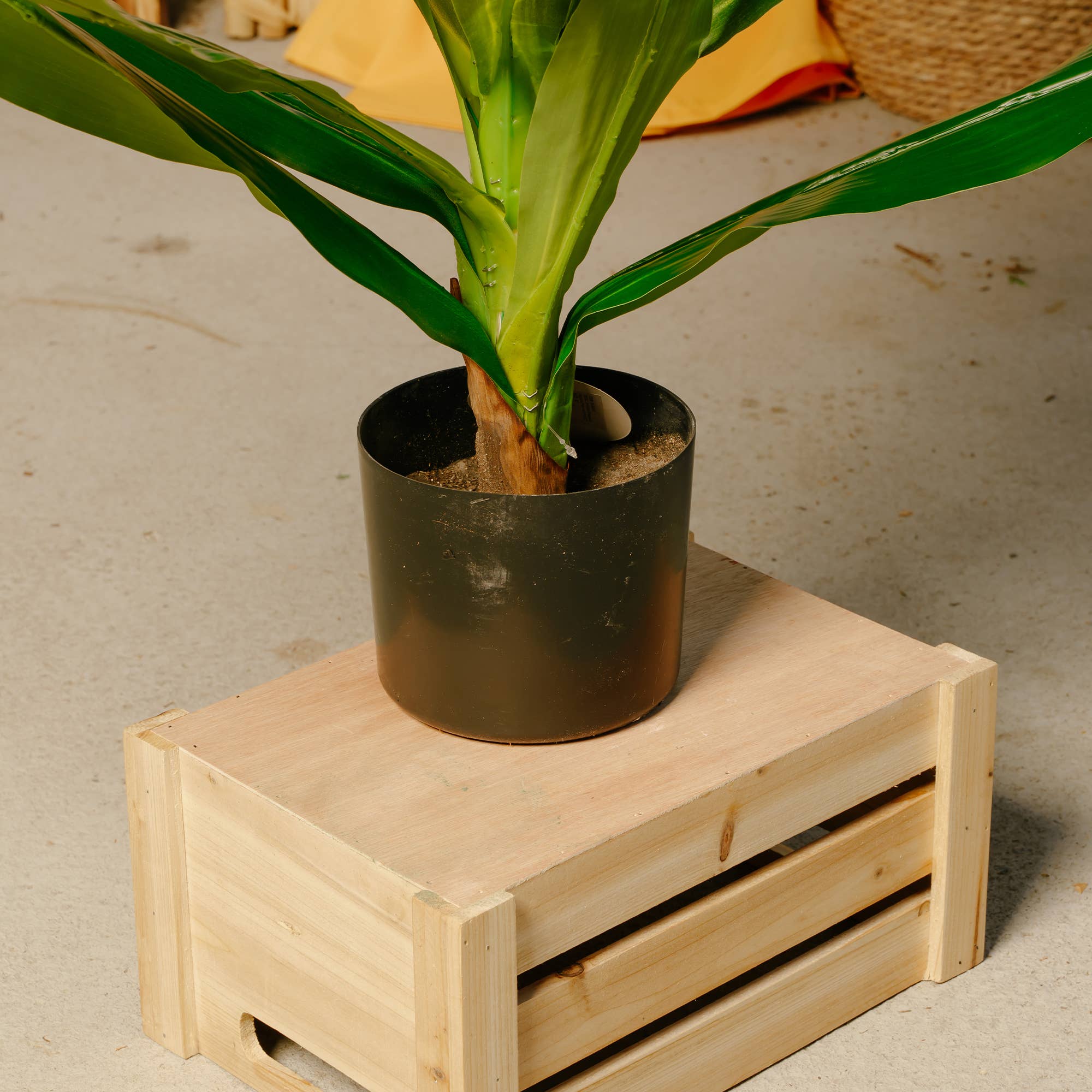 Portofino International Trading, USA - Wholesale Artificial Plant - Artificial Potted Dracaena Fragrans Plant6