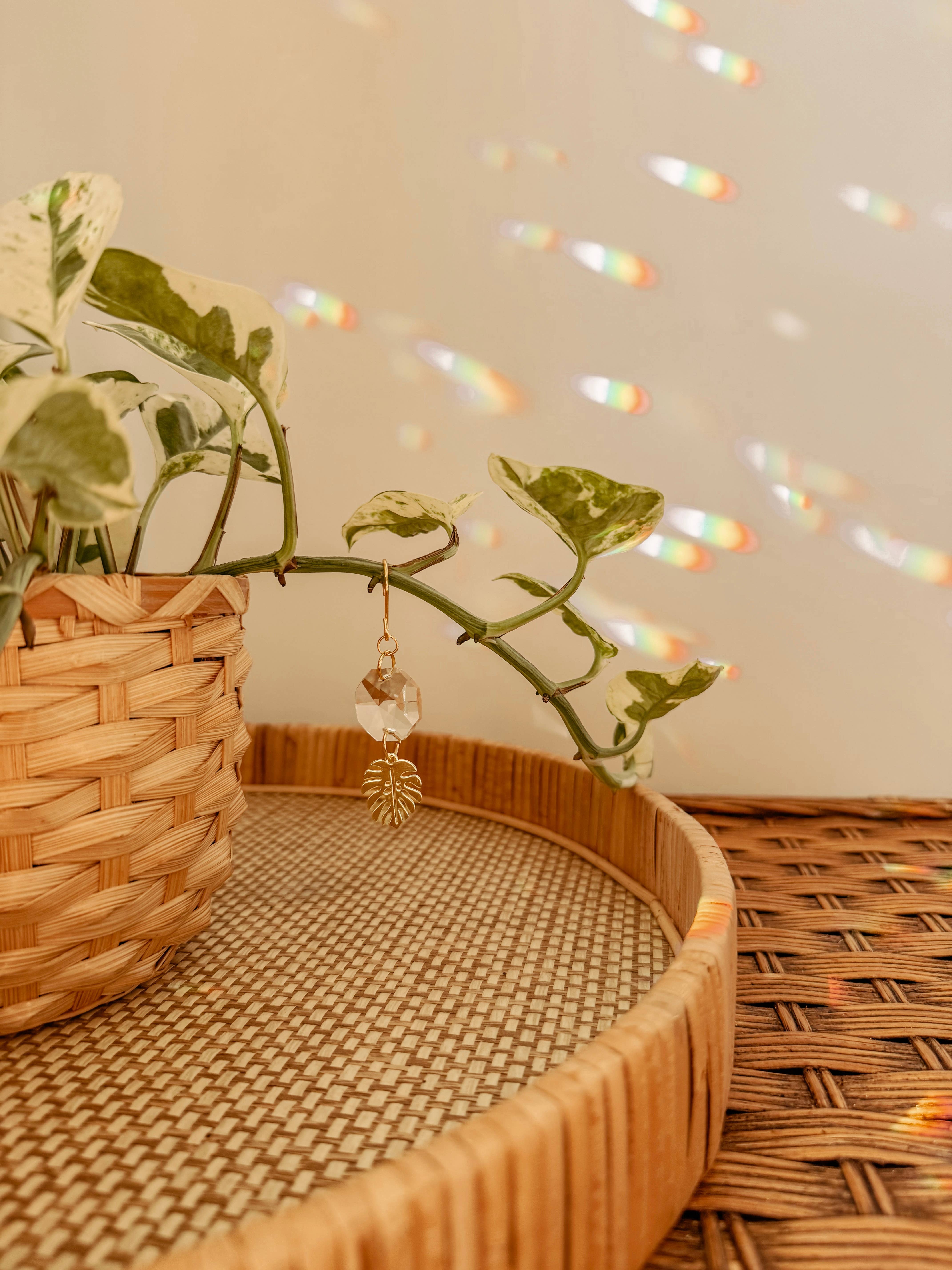 Meraki The Studio Co. – wholesale Solfångare – Växtcharm | Solfångare + Monstera-blad | Ranktillbehör1