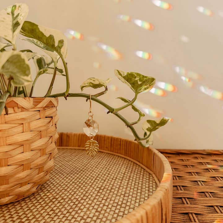 Meraki The Studio Co. – Suncatcher por atacado – Encanto de Planta | Apanhador de Sol + Folha de Monstera | Acessório de Vinha1