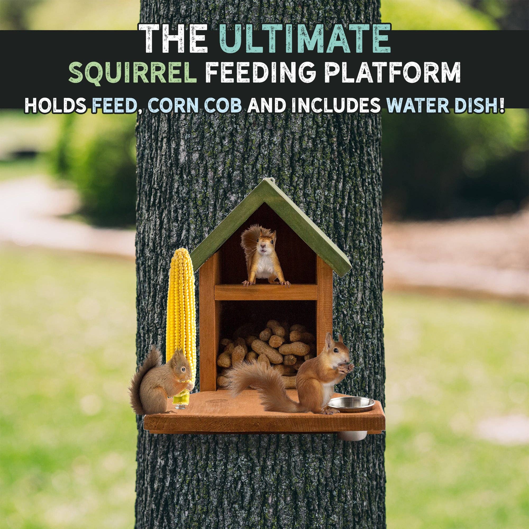 Kurated Korner – wholesale Bird feeder – Uncle Dunkel's Ultimate Squirrel and Chipmunk Feeder4