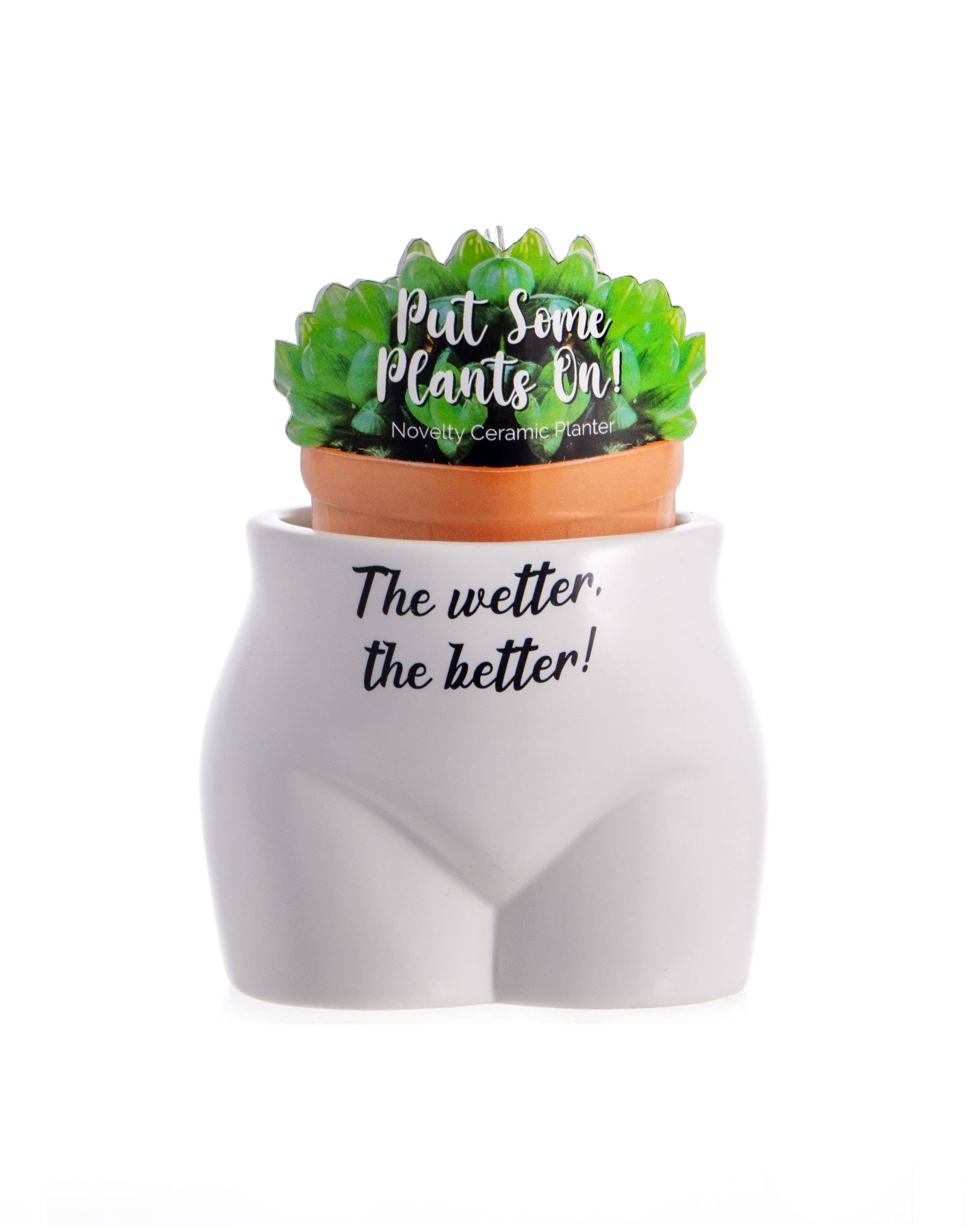 Boxer Gifts - Wholesale Plant pot - The Wetter The Better Put Some Plants On - Novelty Planter4