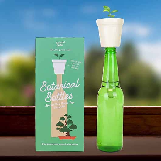 Botanical Bottles - Bonsai Tree for wholesale by Gift Republic