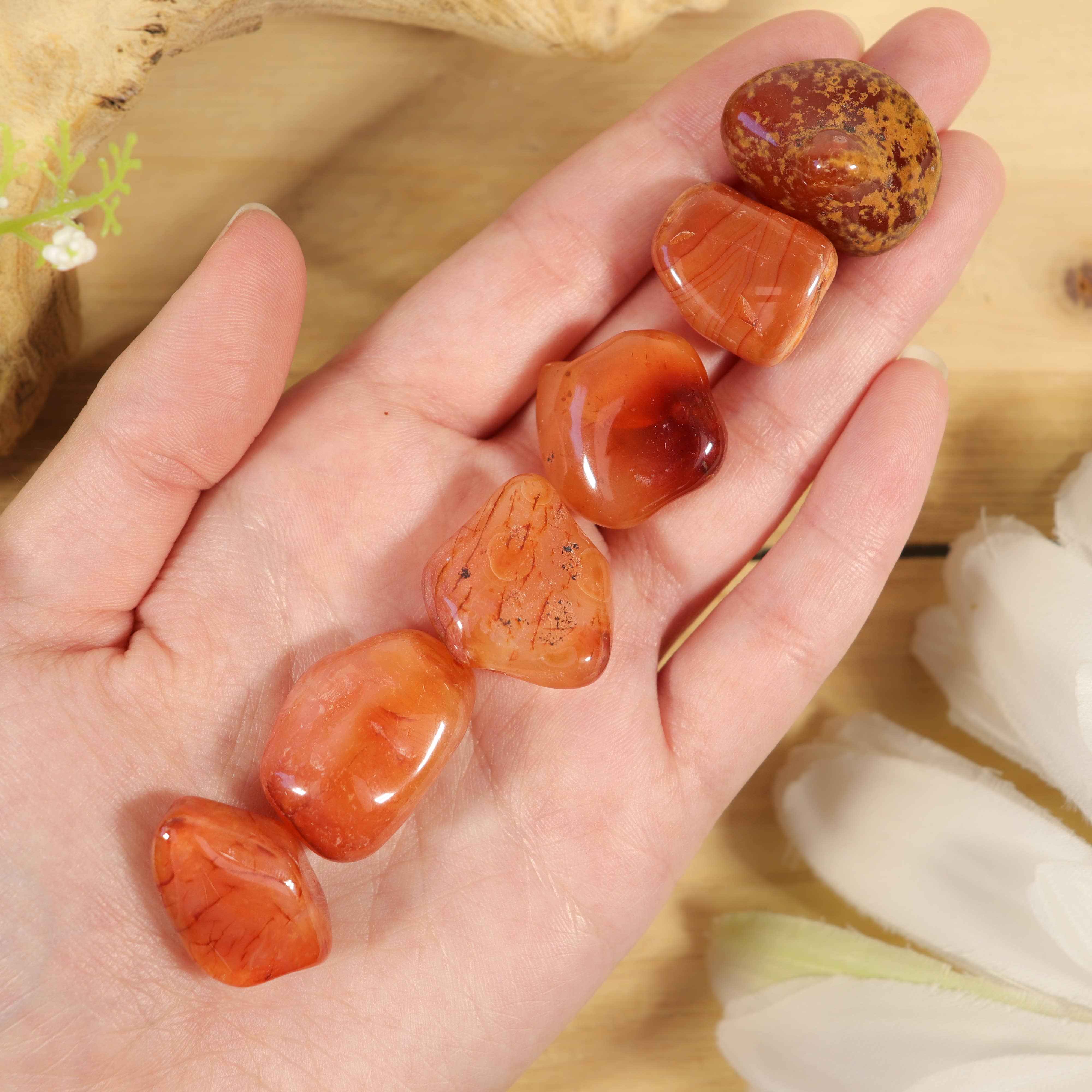 Natures Artifacts Inc - Wholesale Spiritual Stone/Crystal - 1 lb. Carnelian Tumbled Stones (Grade A)2