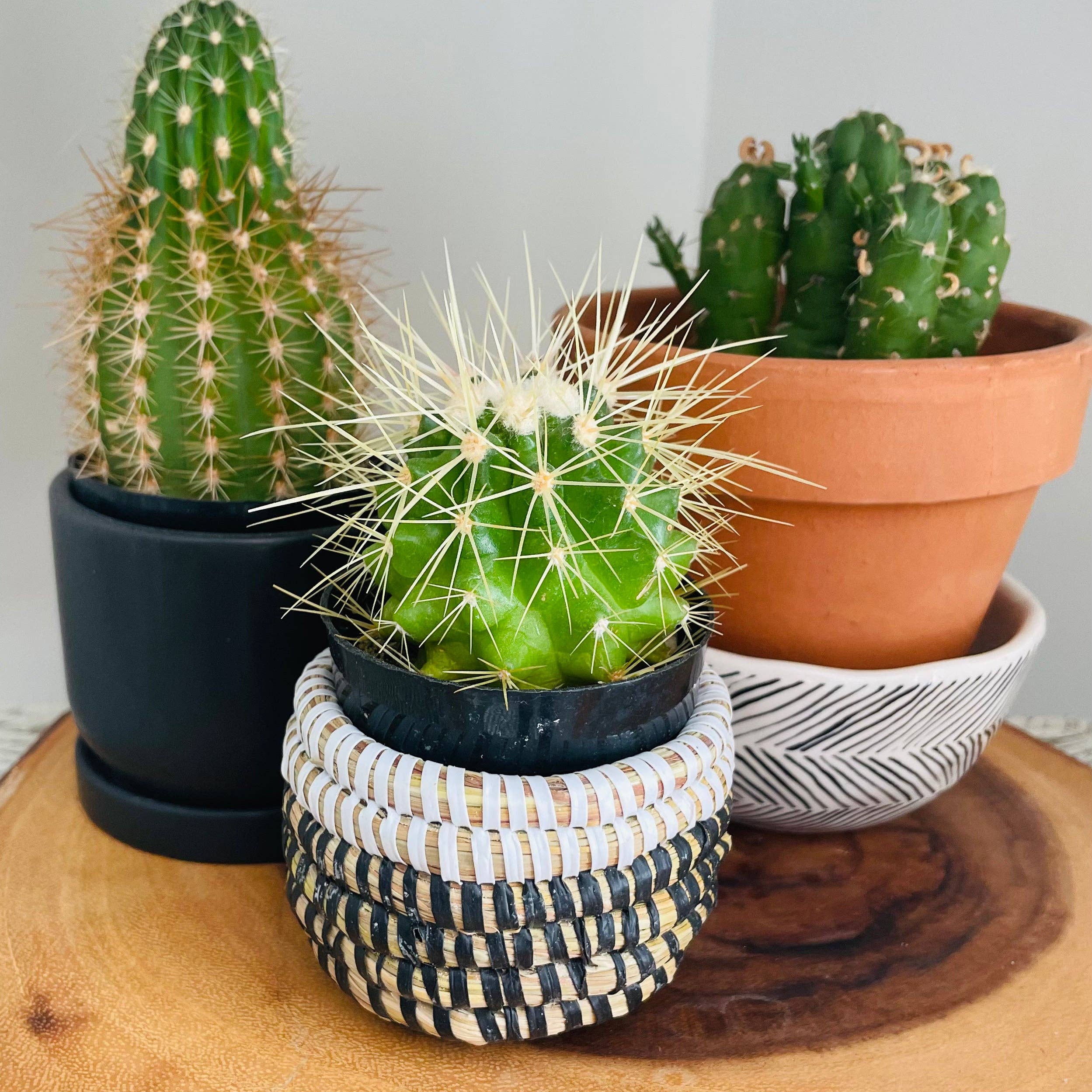 Beautifully Made Fair Trade - Wholesale Basket - Senegal | Natural Basket | Mini2