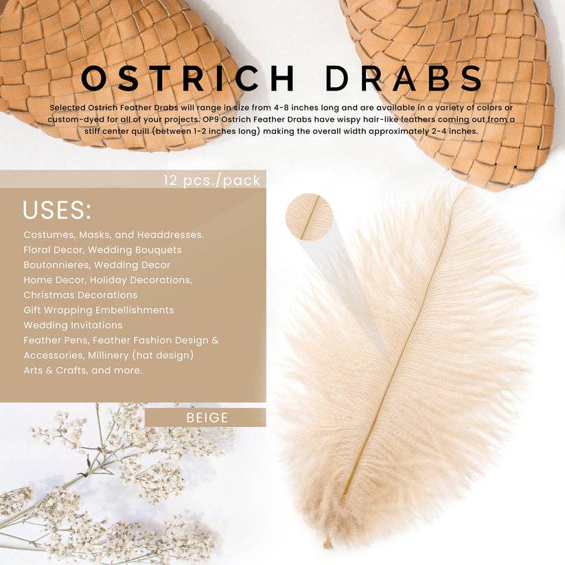 Zucker Feather Products - Wholesale Feathers - Ostrich Feathers 4-8" Drabs - Beige3