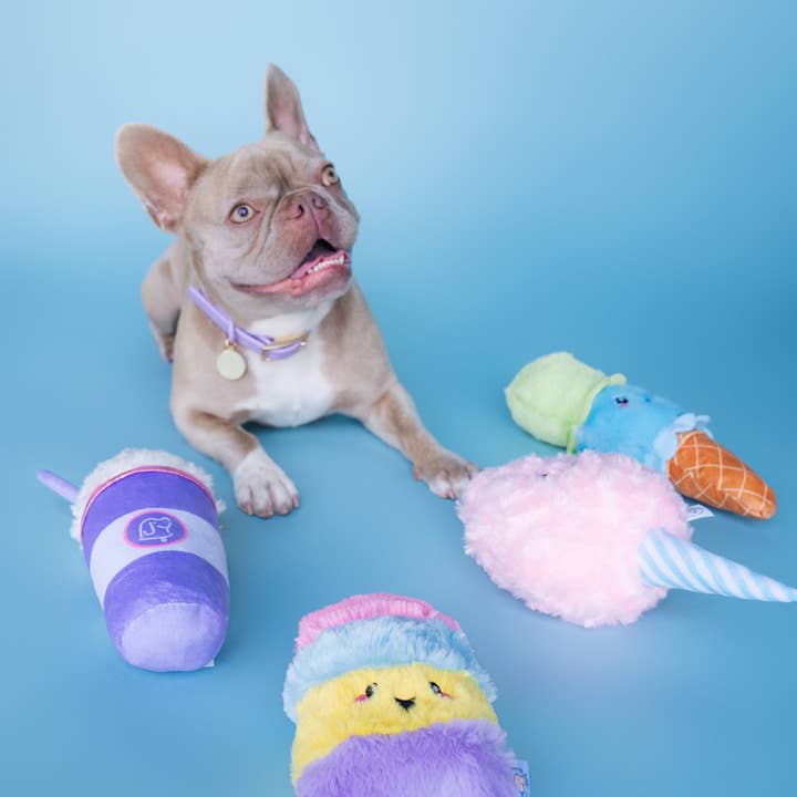 Bundle x Joy - Wholesale Pet Plush Toy - Dog - Poppin Popsicle Summer Dog Toy with Crinkle & Squeaker 5