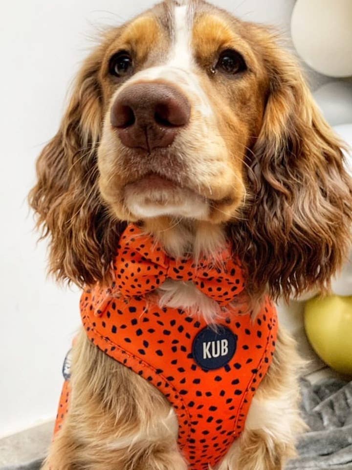 KUB Original Harness - Burnt Orange for wholesale by KUB