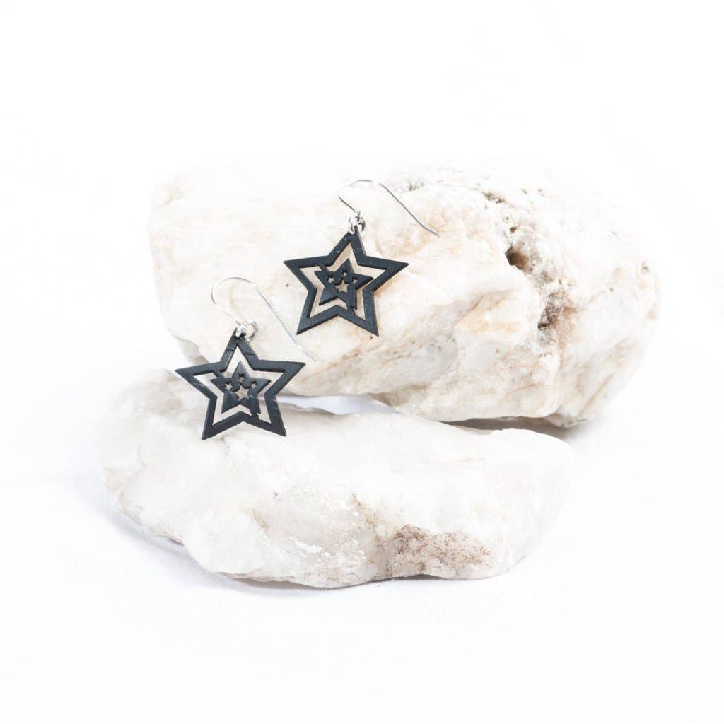 ABD Culture - Wholesale Dangle Earrings - Tiny Star Earring0