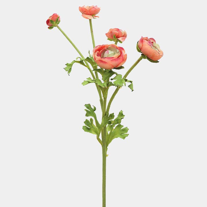 Prestige Botanicals - Wholesale Artificial Flowers - Real Touch Coral Ranunculus 22”