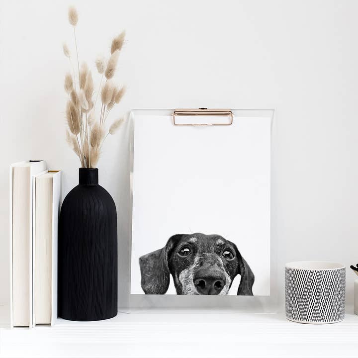 Dachshund 2 Unframed Peeking Print for wholesale by Perkie Prints