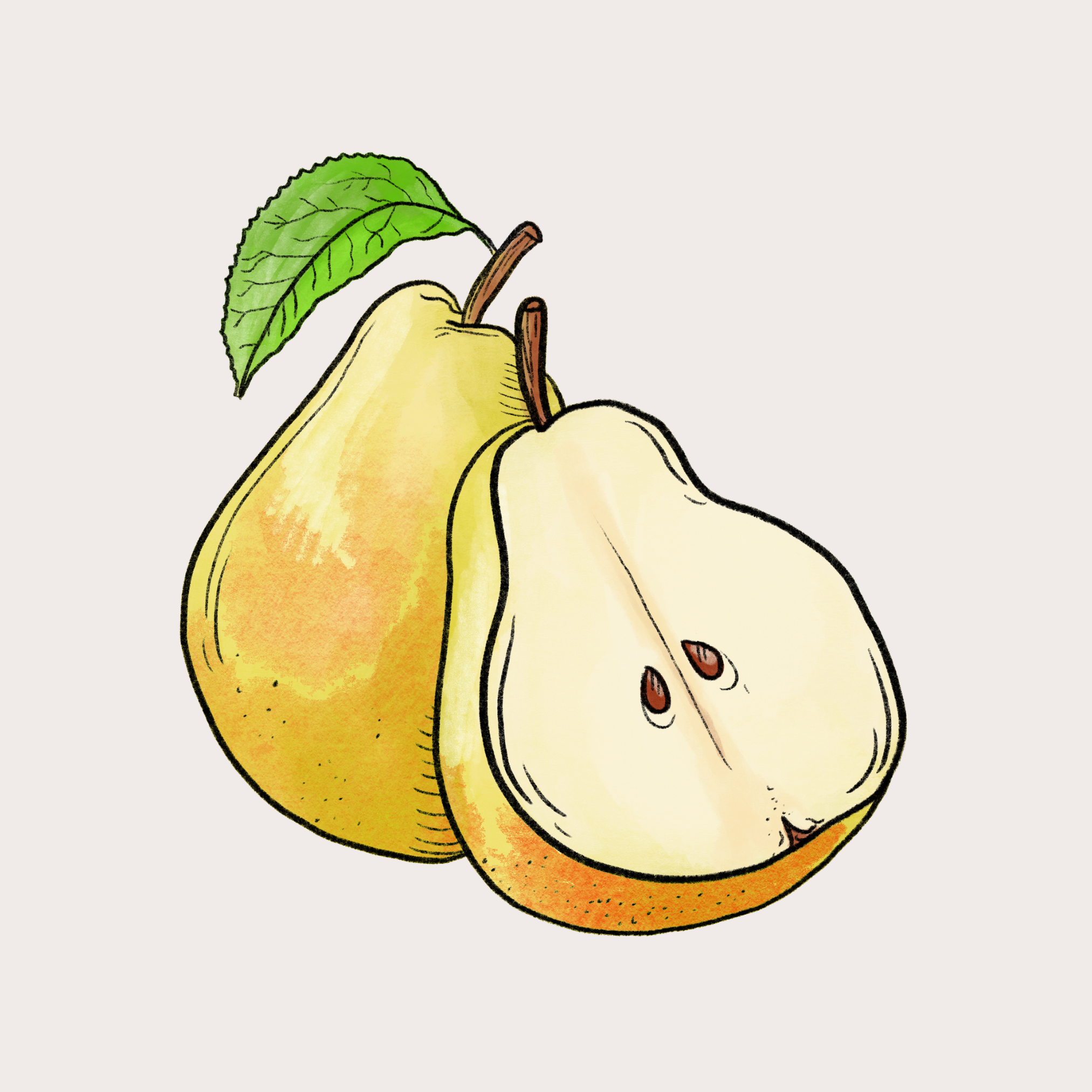 Red Hill Candle Co. - Wholesale Jar/Filled Candle - French Pear Candle2