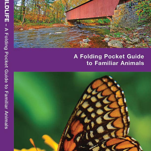 Maryland & DC Wildlife Pocket Guide for wholesale by Birds Choice