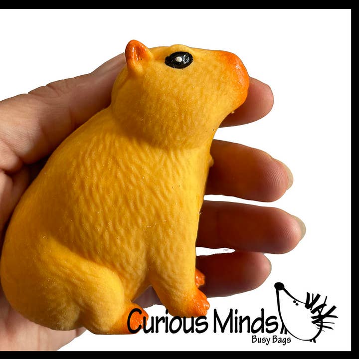 1 Grow a Capybara in Water - Add Water and it Grows Toy Fun for wholesale by Curious Minds Toys