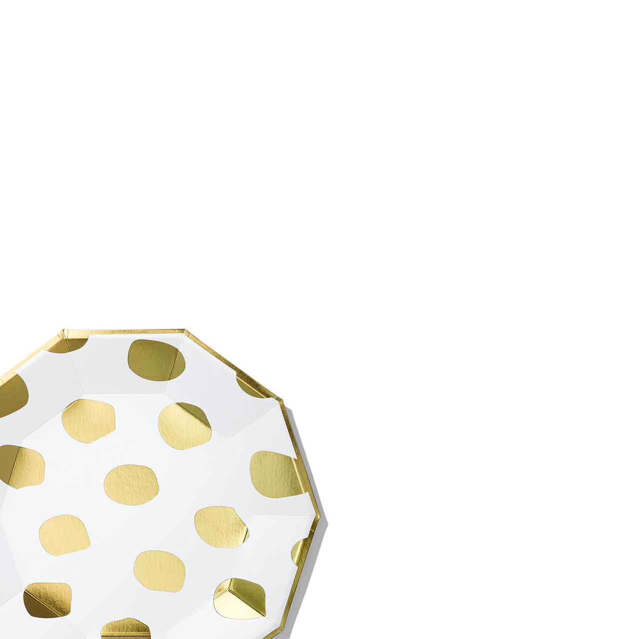 Coterie Party Supplies - Wholesale Disposable Plate - Brushstroke Large Plates (10 per pack)2