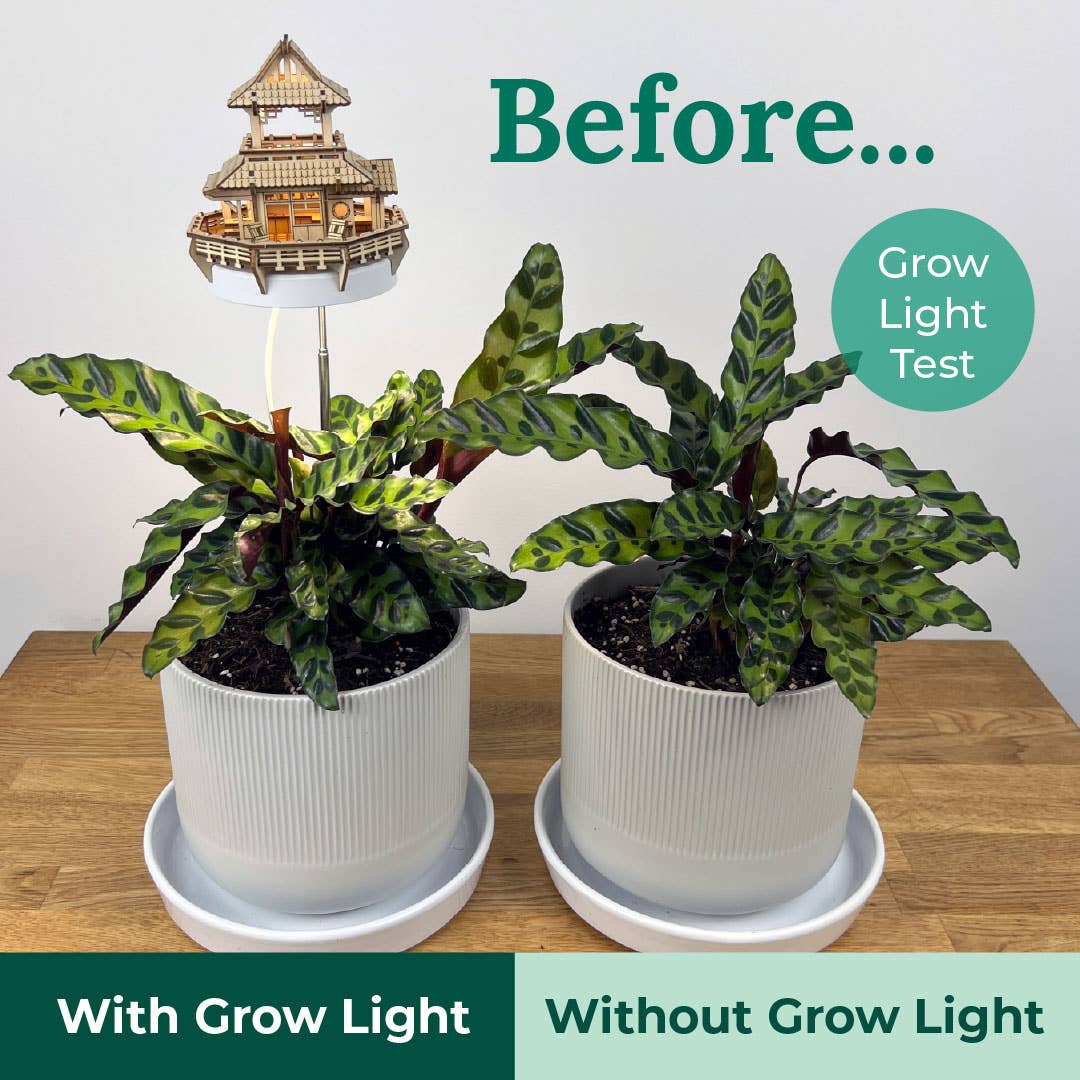 Tiny Treehouses Australia - Wholesale DIY craft kit - Sunrise Terrace + Grow Light6