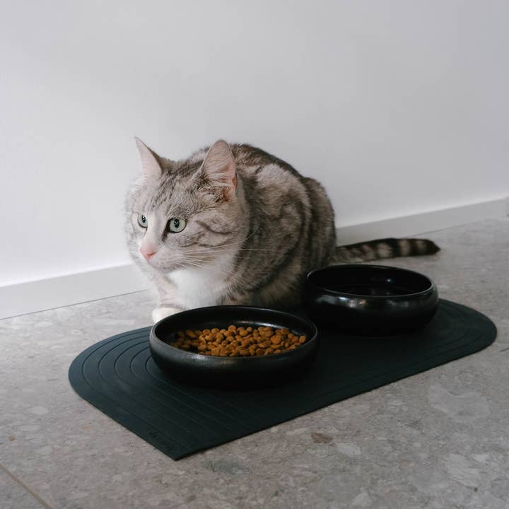 The Catery – Großhandel Futternapf – Katze/Hund – Gourmet Wassernapf Schwarz3