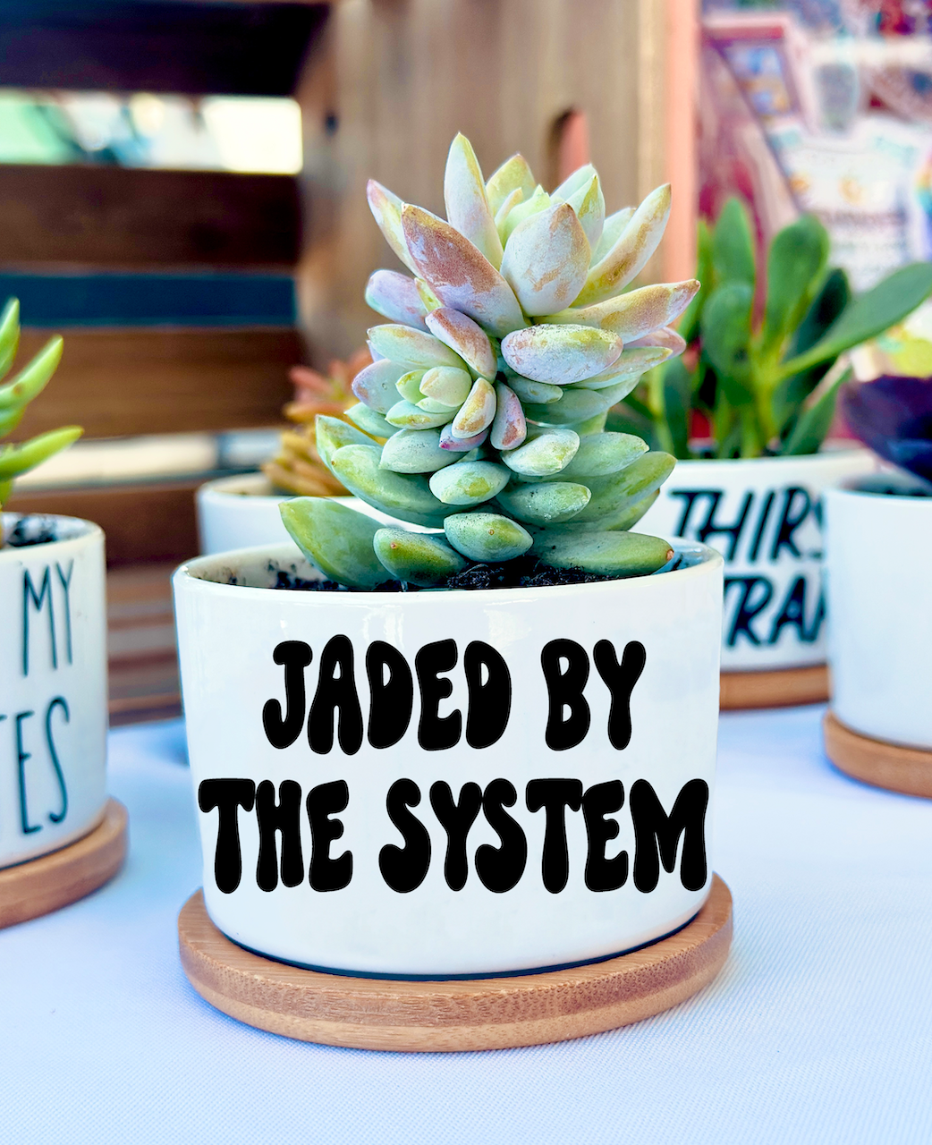 Peach Tree Design Shop - Venta al por mayor Macetas - Mini macetas divertidas, maceta con juego de palabras, macetero para suculentas12