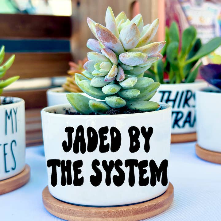 Peach Tree Design Shop - Wholesale Plant Pot - Funny Mini Planters, Punny Plant Pot, Cute Succulent Planter12