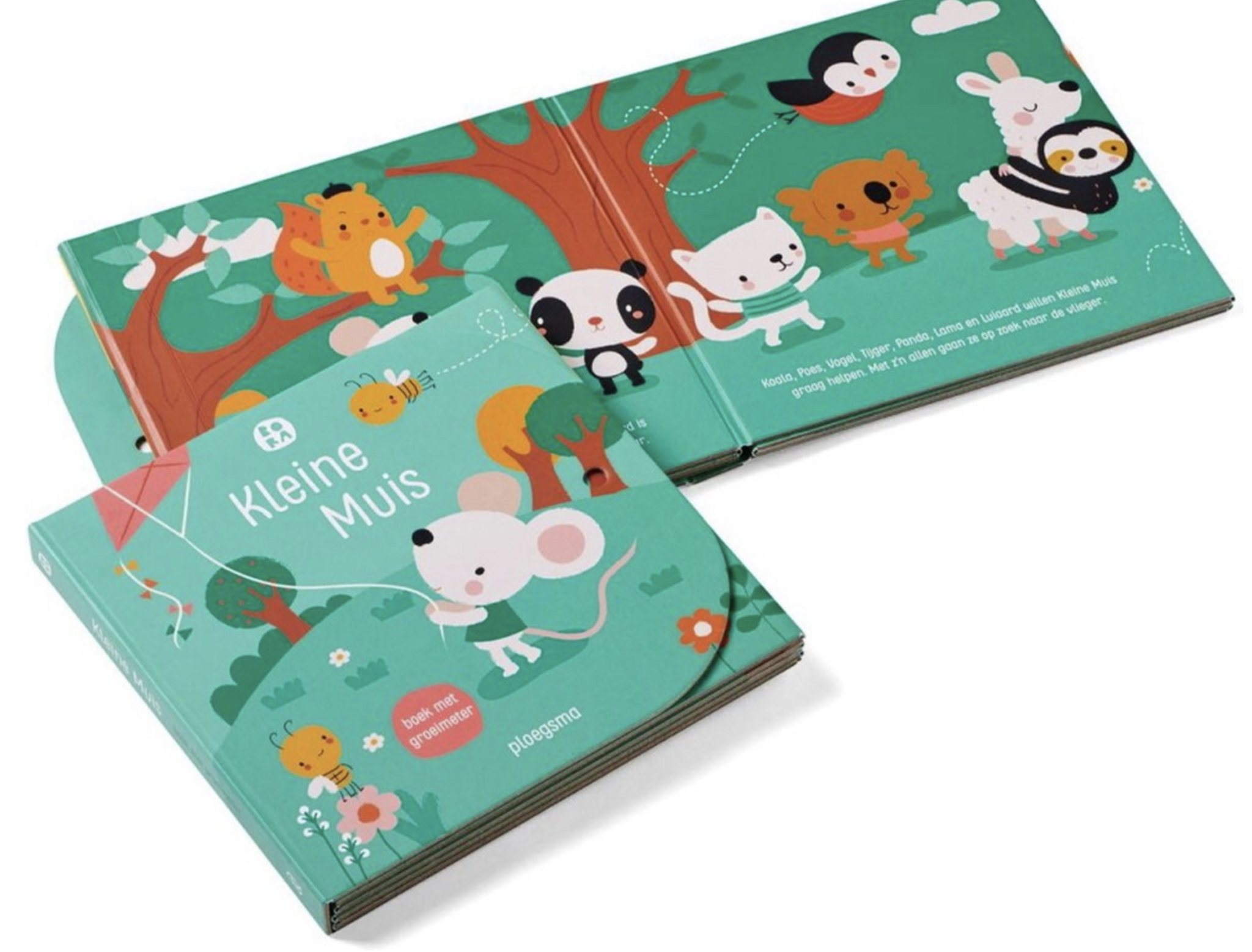 Bora illustraties - Wholesale Baby & Toddler Book (0-2) - Little mouse growth chart book4