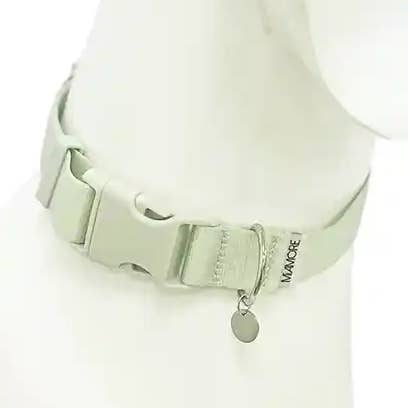 Gola Cão Amore em Verde Menta por atacado de Miamore Pets