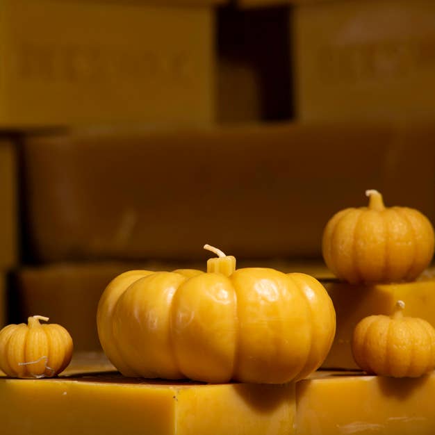 Bougies à la cire d'abeille en forme de citrouille | Décoration d'automne | Décoration d'Halloween pour la vente par Waxing & Raining Handmade Goods