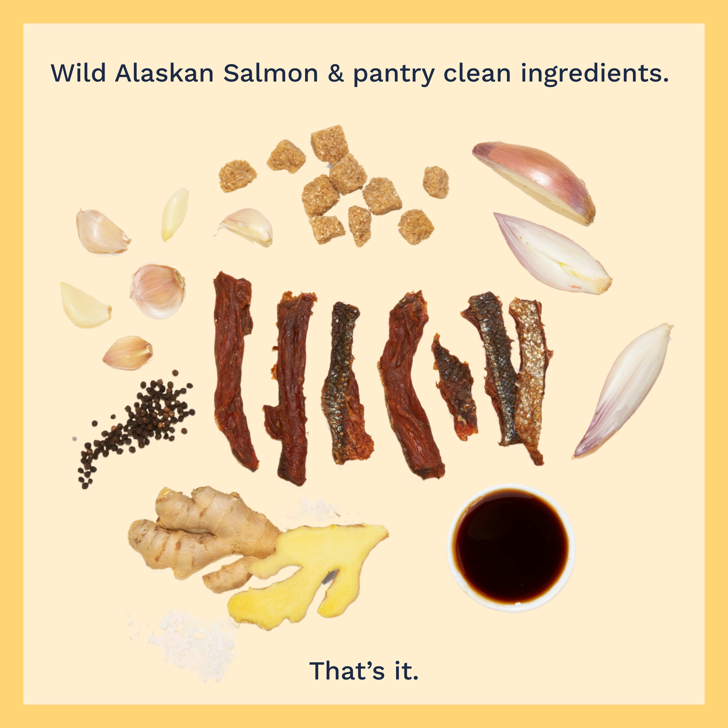 Fable Fish Company - Wholesale Jerky - Teriyaki Wild Alaskan Sockeye Salmon Jerky (in a Caddy)2