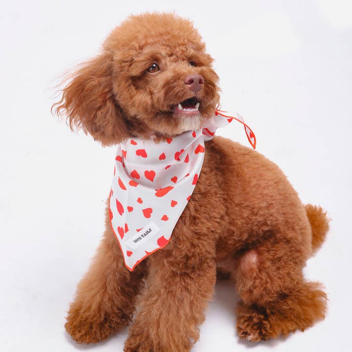 Cupid Dog Bandana for wholesale by Both Tails