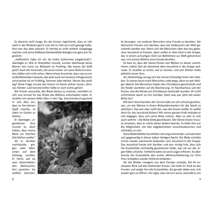 Papierfresserchens MTM-Verlag - Wholesale Early Reader Book (6-8) - Vol. 14 Wish Yourself into the Wonderful Christmas Land2