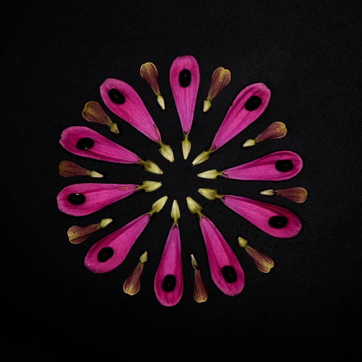 Carte postale miniature imprimable avec enveloppe SEP23-19 pour la vente par Beth Adoette