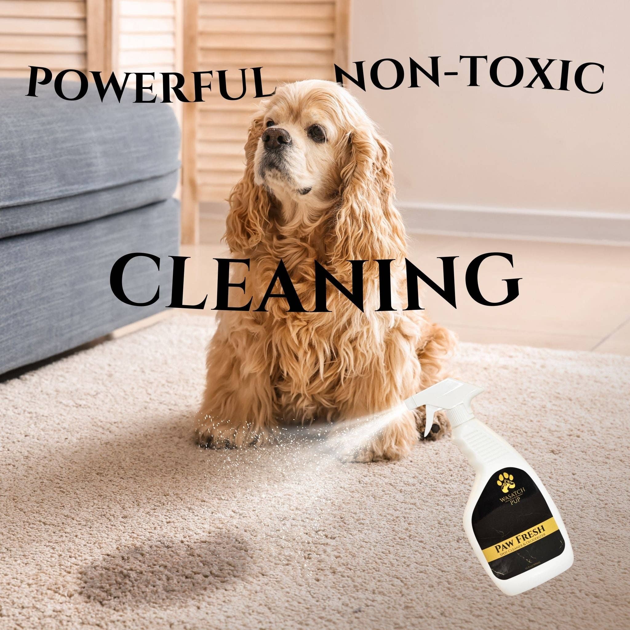 Wasatch Pup - Vente Spray désodorisant - Paw Fresh | Nettoyant et Désodorisant pour Taches3