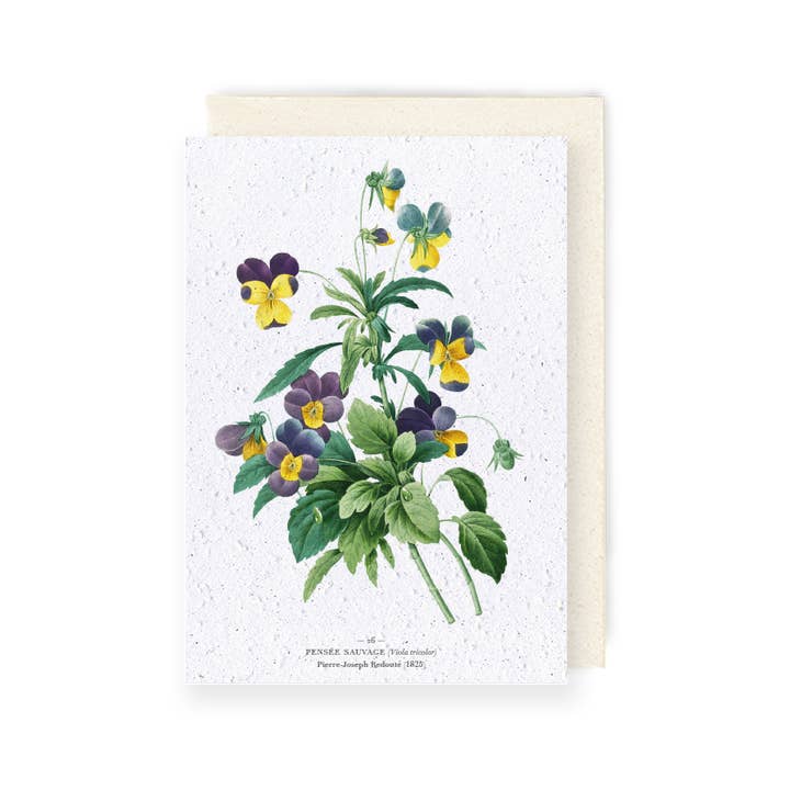 Plant card - Wild thought for wholesale by Papier Fleur