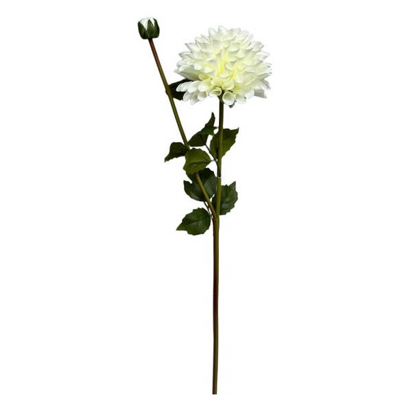 Cubby House by Malmar - Wholesale Decorative figurine - 72cm 2 Head White Chrysanthemum Flower Stem0