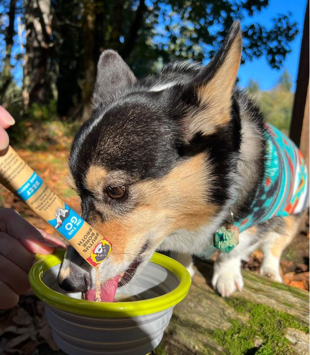 Brutus Broth - Wholesale Pet Food - Dog - Brutus Broth Instant Broth Beef 30 Stick Point of Sale Pack5