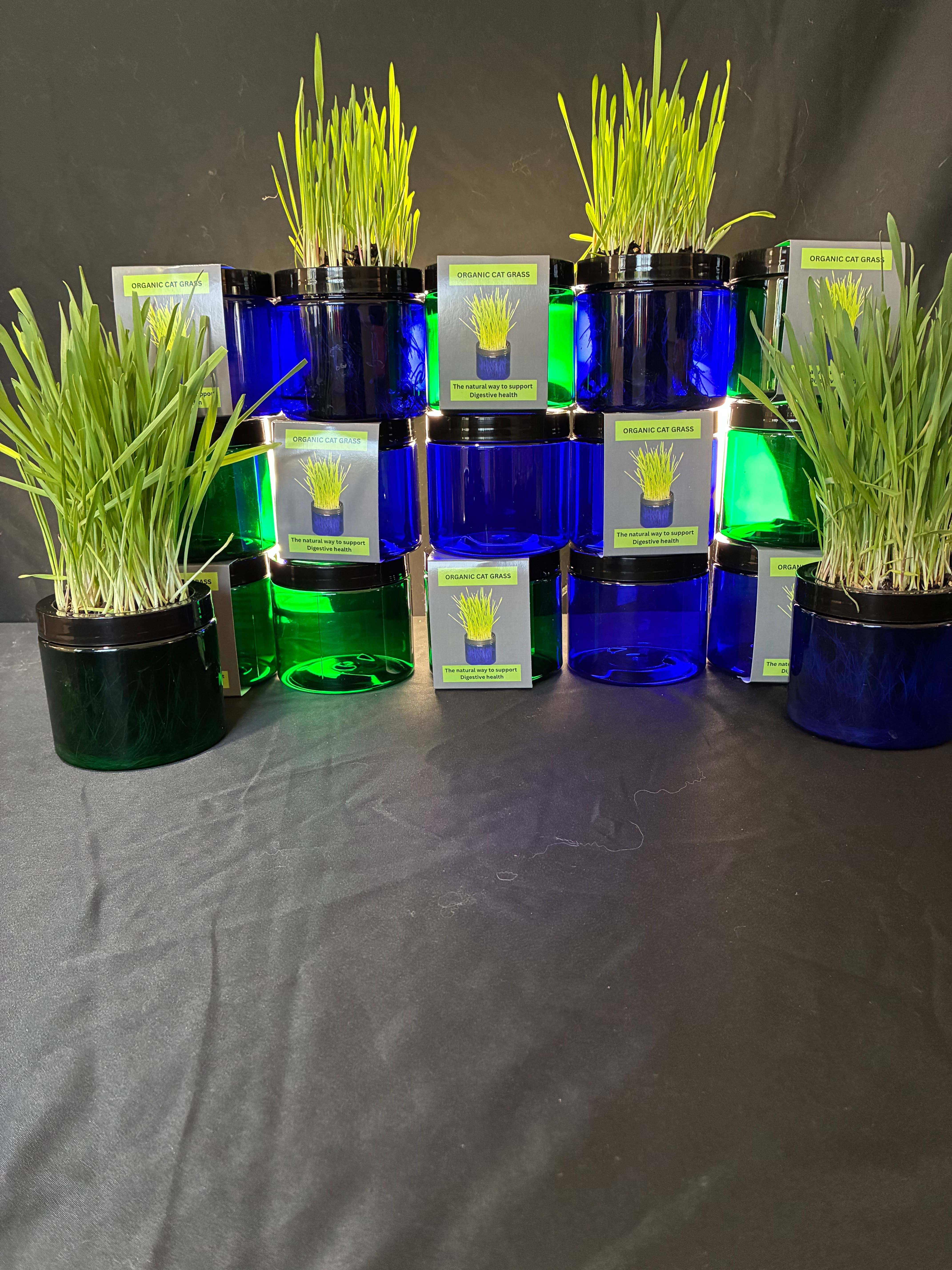 Mom’s Indoor Cat - Wholesale Pet Treats - Cat - Modern Organic Cat Grass Garden in Stylish Jar2