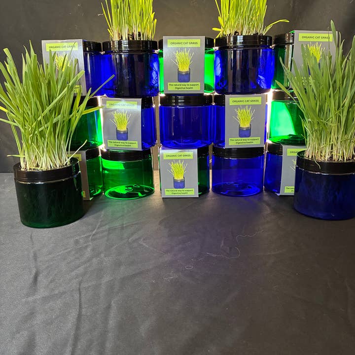 Mom’s Indoor Cat - Wholesale Pet Treats - Cat - Modern Organic Cat Grass Garden in Stylish Jar2