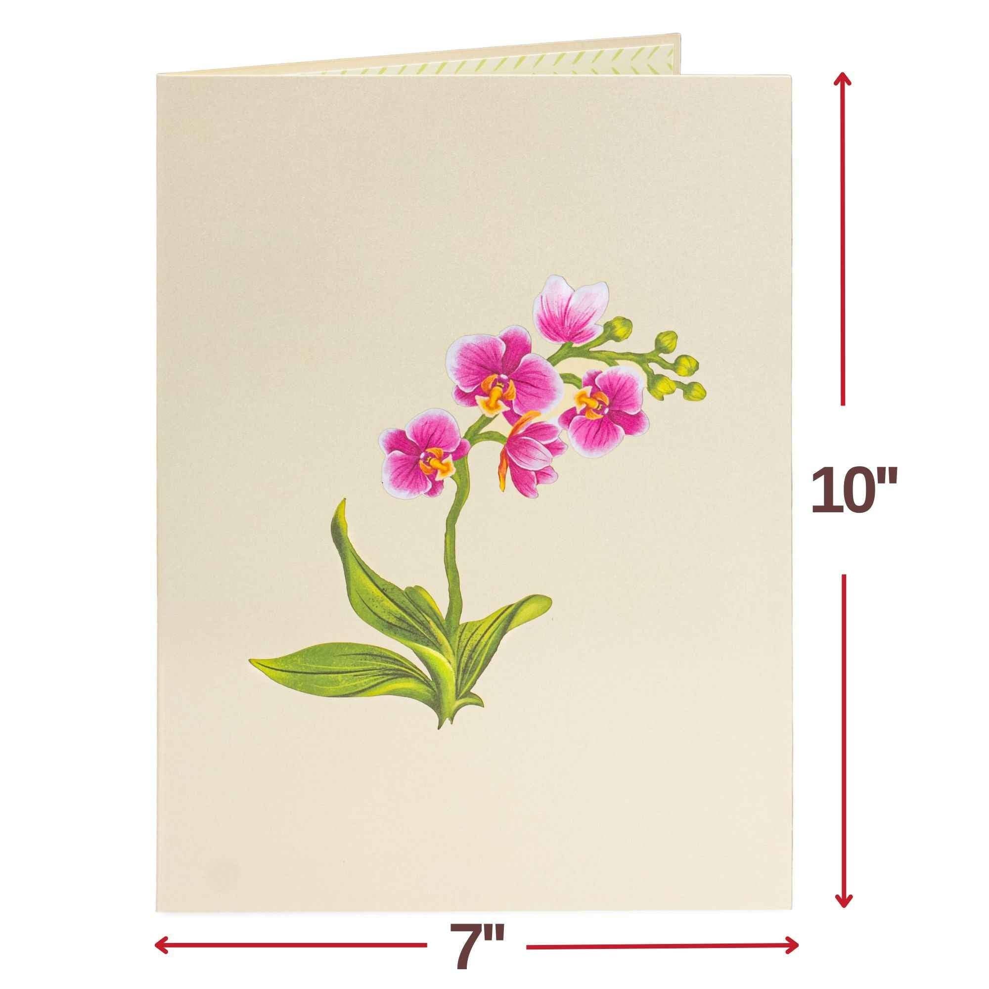 Paper Love - Wholesale Everyday Greeting Card - Orchid Flower Bouquet Pop-Up Card with Keepsake2